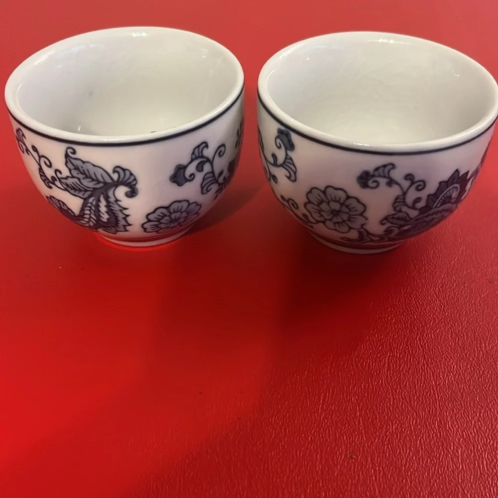Pier 1 Imports Porcelain Floral Mugs set of 2